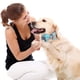 thumbnail image 4 of Collares para perros y gatos con pajaritas ajustables y desmontables, de caballero., 4 of 5