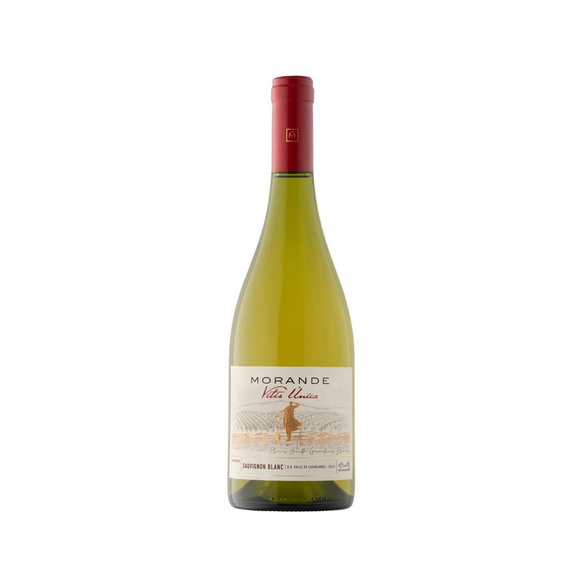 Vino Blanco Sauvignon Blanc 12.6° Botella 750 ml Morande