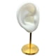 thumbnail image 1 of Soporte De Exhibición De Pendientes Modelo De Oreja Soporte De Perno Con Base Para Escaparate De Cumpleaños Blanco Derecho, 1 of 5