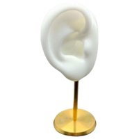 Ioensy - Soporte De Exhibición De Pendientes Modelo De Oreja Soporte De Perno Con Base Para Escaparate De Cumpleaños Blanco Derecho