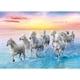 thumbnail image 2 of Rompecabezas Trefl Galoping White Horses 500 piezas, 2 of 7