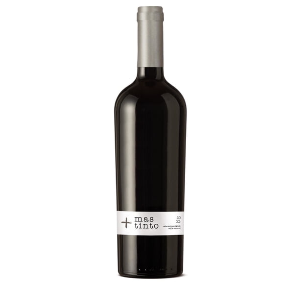 Vini Cabernet Sauvignon Botella, 750 ml