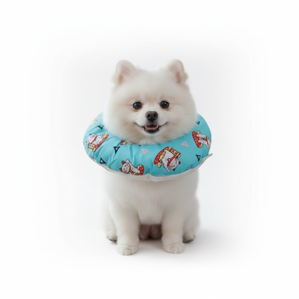 Collar Isabelino Suave Ajustables Talla S Mod 5