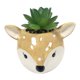 thumbnail image 1 of Planta Artificial con Macetero de Ciervo, 1 of 4