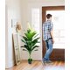 thumbnail image 2 of Planta Decorativa Artificial Belleza Natural Frescura Jhn, 2 of 3