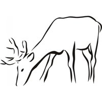 Rienda Libre Graphics - Decomural Reindeer Deer Christmas Animals Ws-18659