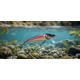 thumbnail image 2 of Senuelo Poseidon Minnow 8 g Silver Pink Shad Pesca Deportiva 2 Anzuelos Triples, 2 of 3