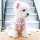 thumbnail image 1 of Vestido con arnés para perro con anilla en D, parche de conejo, encaje, princesa, falda para cachorro, otoño e invierno, pana gruesa, ropa para mascotas, vestidos para perros pequeños, atuendo para ni, 1 of 8