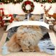 thumbnail image 1 of Orange And White Maine Coon Cat Print Duvet Cover Set Theme Bedding Duvet Cover Pillowcase Set Soft Comfortable Suitable for Home A, 1 of 1