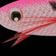 thumbnail image 5 of Sinking Jig Yo-Zuri Squid Ultra Bait Aurora Luminous Pink, 5 of 8