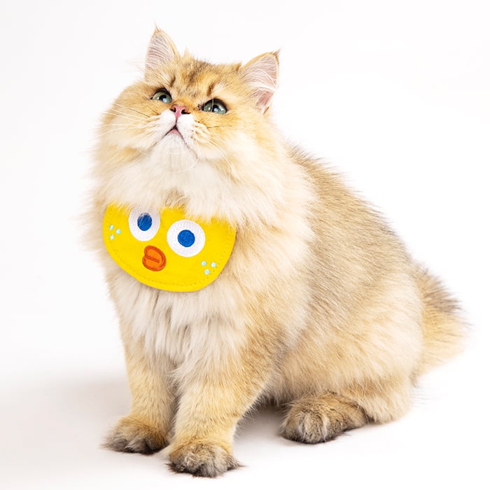 Correa Babero Para Mascotas 4 Diseños Originales - Pidan®