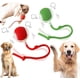 thumbnail image 1 of Pelota eléctrica para perros AUTRETY 2024 Smart Automatic, 2 paquetes, 1 of 8