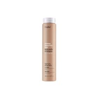 Abh Ayurvedic Shampoo 250Ml Erayba
