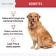 thumbnail image 3 of Toallitas para patas de perro Chew + Heal, antibacterianas y antimicóticas, 50 unidades, 3 of 8