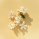 thumbnail image 3 of Perfume Elie Saab Le Parfum Lumière Eau de Parfum 30 ml para mujer, 3 of 4