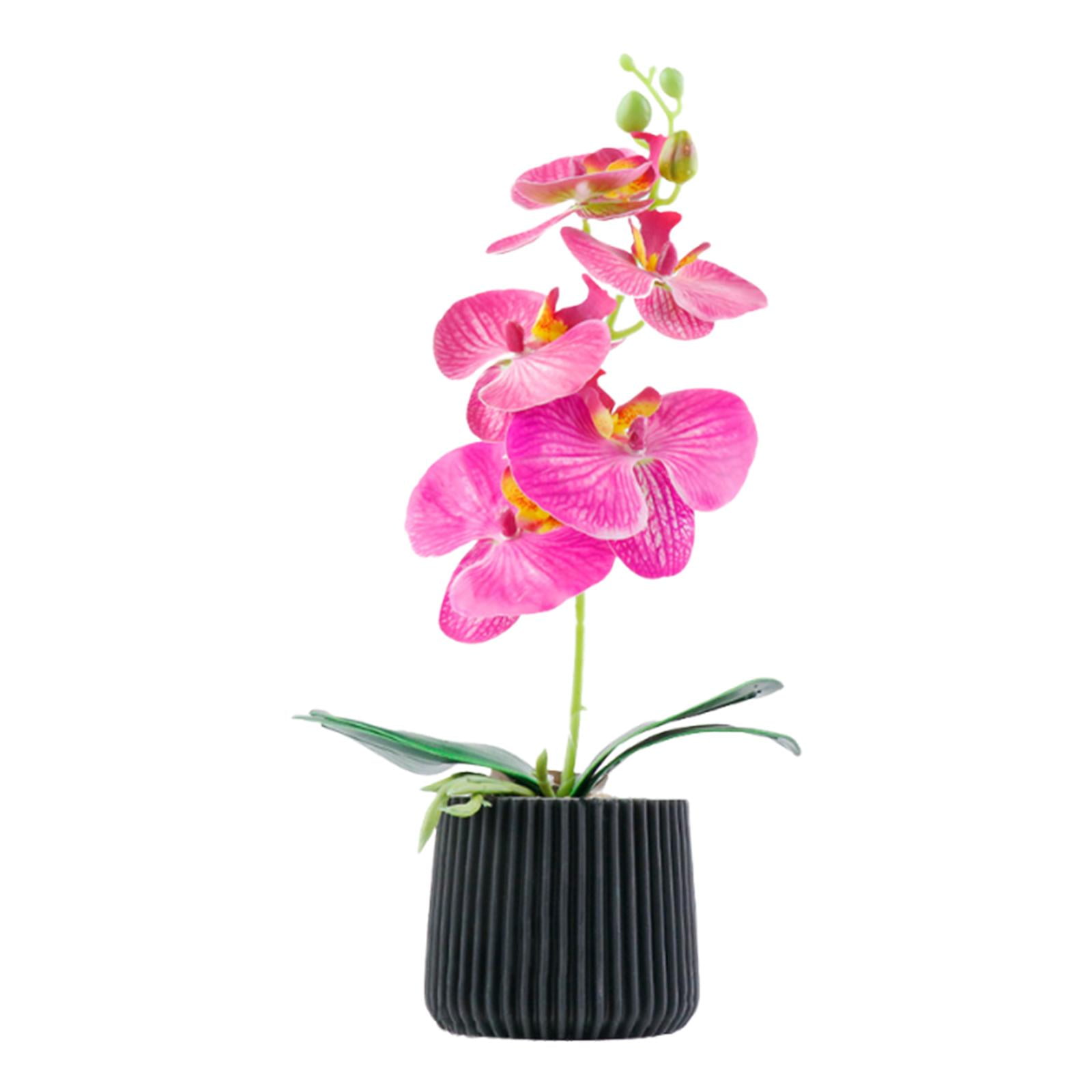 Bothyi - Orquídea Artificial En Maceta Para Cocina Y Sala De Estar.