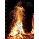 thumbnail image 1 of Book Artisan Mallmann on Fire: 100 recetas inspiradoras para asar, 1 of 1