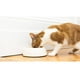 thumbnail image 5 of PapainPet Suplemento Para Perros Y Gatos 30 Comprimidos, 5 of 5
