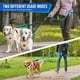 thumbnail image 3 of Doble correa para dos perros - sin correa para perros enredados correas para perros dobles giratorias de 360 ° con dos manijas acolchadas, entrenamiento de caminata amortiguador para perros, 3 of 3