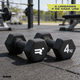 thumbnail image 1 of Set de 2 Mancuernas Ejercicio Fitness Dumbbell 4kg Rava, 1 of 1