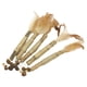 thumbnail image 3 of 5pcs Gato Masticar Palitos Catnip Masticar Juguete Dental Molar Dientes Limpieza Pluma, 3 of 5