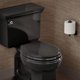 thumbnail image 2 of Asiento de inodoro KOHLER Cachet ReadyLatch Quiet-Close negro, 2 of 9