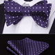 thumbnail image 4 of Pajarita para hombre con lunares, pajarita para atar y pañuelo de bolsillo, esmoquin clásico de negocios, pajarita de boda, 4 of 5