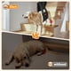 thumbnail image 5 of Arnés Dog Lift Pick For Life, soporte ajustable para patas traseras, 5 of 8