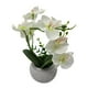 thumbnail image 2 of Planta Artificial Orquidea Pequeña Macetero De Cemento blanco, 2 of 5