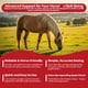 thumbnail image 5 of Pasta antiparasitaria para caballos Ivermectin PawBliss 1.87% sabor manzana, 5 of 7
