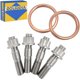 thumbnail image 1 of Kit de Pernos de Pasador GOLKNHA 4 piezas de titanio para TRX400EX y XR400R, 1 of 7