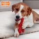 thumbnail image 2 of Juguete para perros Nylabone Power Chew Lobster Filet Mignon, XL, 2 of 9