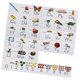 thumbnail image 5 of Tablero De Anuncios Del Alfabeto Aprendizaje Temprano Kinder Preescolar Decoraciones, 5 of 5