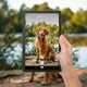 thumbnail image 3 of Tableta Lenovo Tab M9-2023 9 HD 3 GB de RAM 32 GB de almacenamiento Android 12, 3 of 9