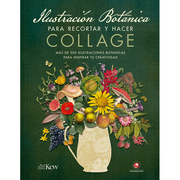 Ilustración botánica para recortar y hacer collage