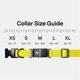 thumbnail image 2 of Collar para perro Fi Series 3+ GPS talla mediana amarillo - 6 meses, 2 of 5