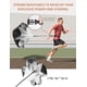 thumbnail image 4 of Set de equipo de entrenamiento de agilidad GHB Agility Ladder con vallas, 4 of 8