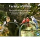 thumbnail image 4 of Pimiento Picante Seal De Suet Cakes 325 Ml Para Aves Silvestres Paquete De 12, 4 of 8