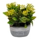 thumbnail image 2 of Planta Artificial Macetero Cerámica Vintage Plants Cubo amarillo, 2 of 3