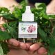 thumbnail image 3 of Ambientador Plug In Scent Fill Peppermint Scent 2 recambios, 3 of 6
