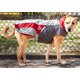 thumbnail image 4 of Abrigo y chamarra impermeable para perro DOGHELIOS 'Lotus-Rusher', 4 of 8