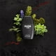 thumbnail image 3 of Perfume Guy Laroche Drakkar Noir EDT 50ml Hombre – Aroma aromático lavanda y cedro, 3 of 3