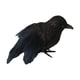 thumbnail image 4 of Cuervos Negros Falsos Artificiales, Decoración De Cuervos Emplumados Para Balcón, Patio, Césped, Estilo C, 4 of 5