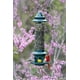 thumbnail image 5 of Comedero para pájaros Brome Squirrel Buster Plus con capacidad de semillas de 2,3 kg, 5 of 9