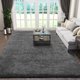 thumbnail image 1 of Alfombra Ophanie 152 cm x 122 cm Gris Peludo Suave, 1 of 6