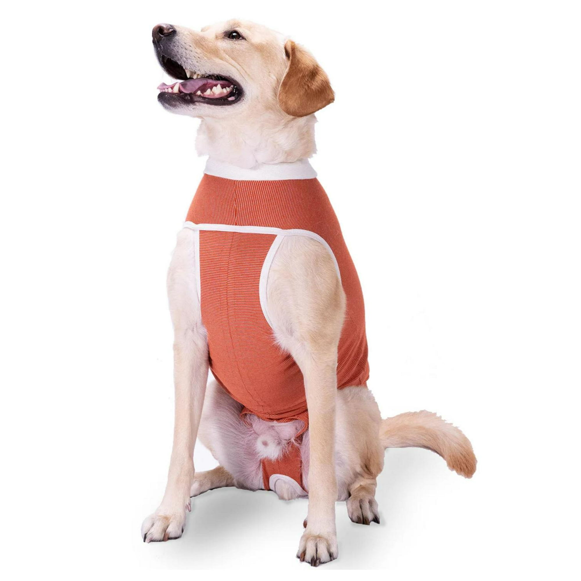 Body Cobre Kimba Tradicional Talla 12 (35 A 40 Kg) Naranja