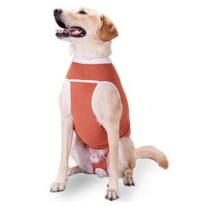 Body Cobre Kimba Tradicional Talla 12 (35 A 40 Kg) Naranja