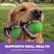 thumbnail image 5 of Pelota para perros WACKYwalk'r WUNDERball Swirl – Grande, 36 kg, 5 of 9