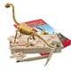thumbnail image 2 of Kit de excavación de fósiles de dinosaurio Science4you Brachiosaurus para 6+ años, 2 of 5