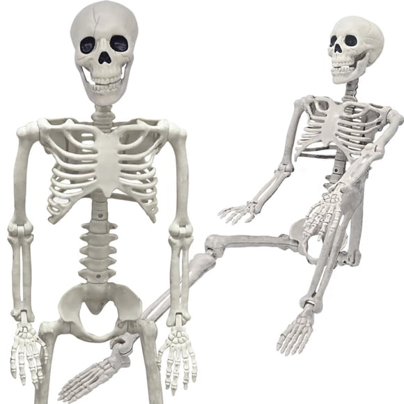 Esqueleto Realista De 3 Pies Para Decoración De Halloween X1